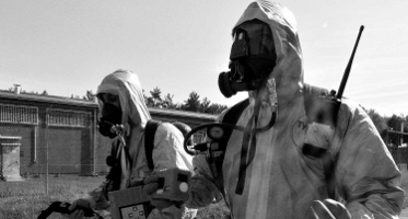 Pest Control in Albany, GA